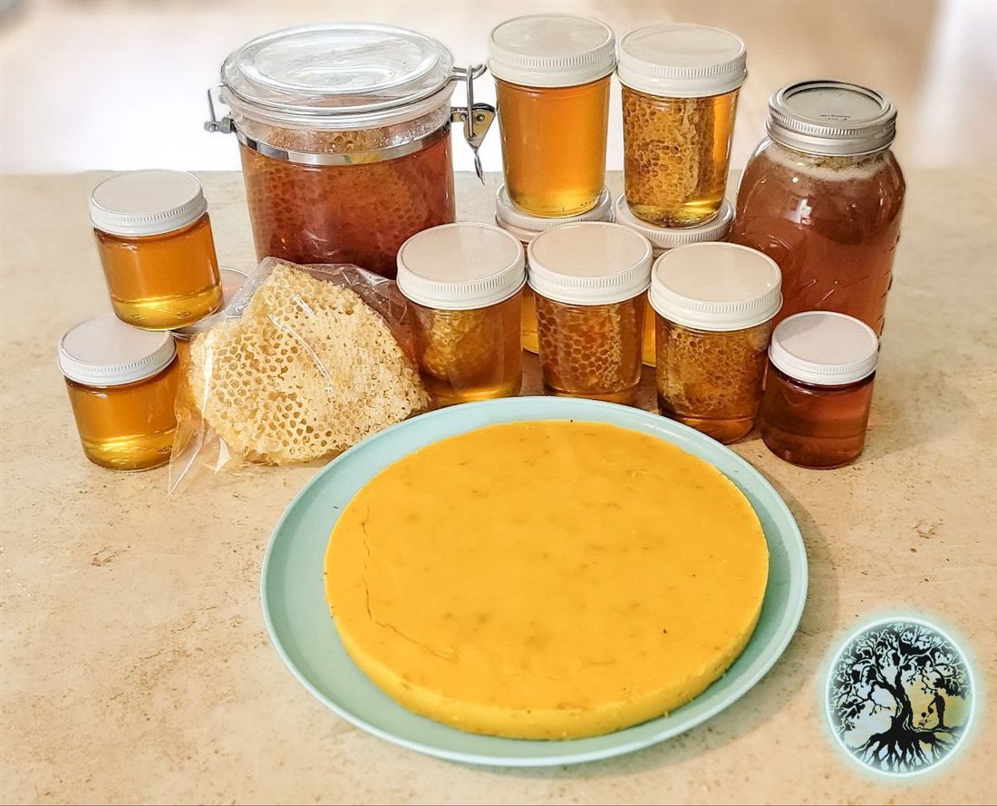 Honey harvest on the homestead